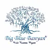Big Blue Banyan (3B) Big Blue Banyan (3B)