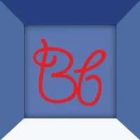 B.B. Investment Casting