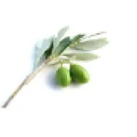 Palladium Product Development & Design Inc