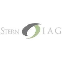 NYU Stern Investment Analysis Group