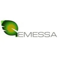 Eastern Modern Specialists Artists - EMESSA