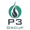 P3 Group Inc P3 Group Inc