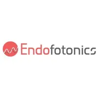 Endofotonics