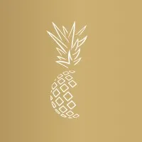Pineapple Financial Planning Pineapple Financial Planning