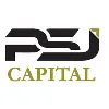 PSJ CAPITAL PSJ CAPITAL
