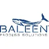 Baleen Process Solutions Baleen Process Solutions