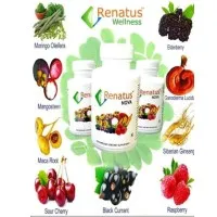 RENATUS WELLNESS GROUP