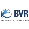 BVR Negocios e Consultoria LTDA BVR Negocios e Consultoria LTDA