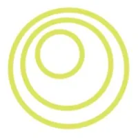 Gottesman Associates