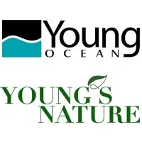 Young Ocean