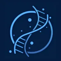 Synapsis Network