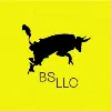 BS LLC | Branding, Strategy, & Marketing Agency BS LLC | Branding, Strategy, & Marketing Agency