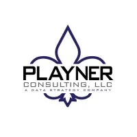 Playner Consulting, LLC