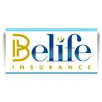 PRUDENTIAL BELIFE INSURANCE SA, email format