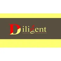 Diligent VFX Studio