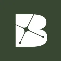Belingbak