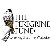The Peregrine Fund