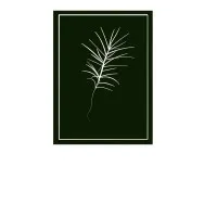 Tsuga Investors LLC