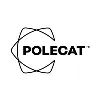 Polecat Polecat