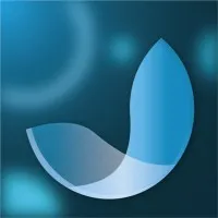 Pixel Perfect Interactive Brand Agency