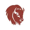 Bison Modular Bison Modular