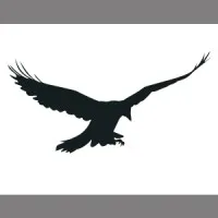 Corvus Capital, LLC