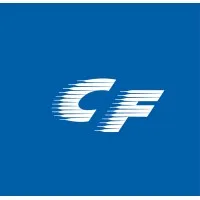 Chem Flowtronics Inc Chem Flowtronics Inc