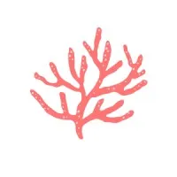 CORAL COLLECTIVE
