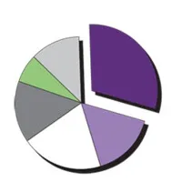 Applied Performance Analytics Corp.