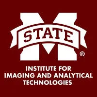 Institute for Imaging and Analytical Technologies