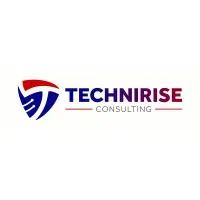TechniRise Consulting Inc.