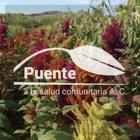 Puente a la Salud Comunitaria