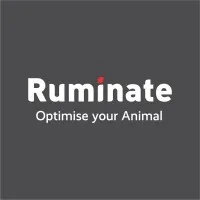Ruminate