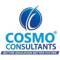 COSMO CONSULTANTS COSMO CONSULTANTS