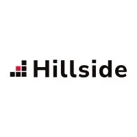 Hillside Consulting Group LLC