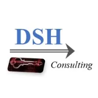 DSH Consulting LLC DSH Consulting LLC