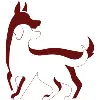 K2K9 Solutions, LLC K2K9 Solutions, LLC
