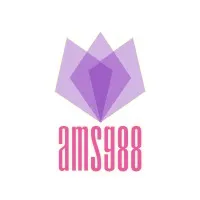 AMSG88 IT SOLUTIONS OPC