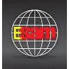 ESAM Inc., a subsidiary of Impact Electronic Solutions ESAM Inc., a subsidiary of Impact Electronic Solutions