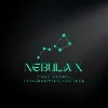 Nebula X Nebula X