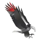 Scavenger Fire and Safety