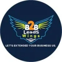 B2B Leads Wings B2B Leads Wings