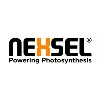 NEXSEL NEXSEL