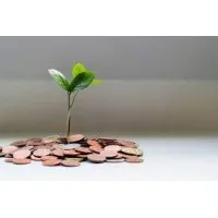 Private Consultant Private Consultant