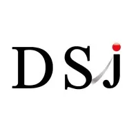 Divine Solutions Japan