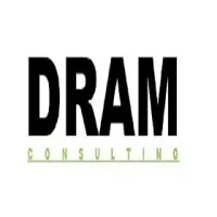 DRAM Consulting