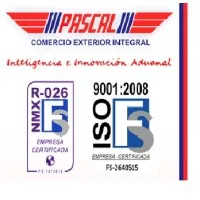 Agencia Aduanal Pascal