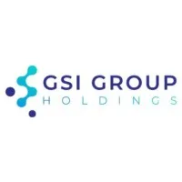 GSI Group Holdings GSI Group Holdings