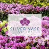 Silver Vase Silver Vase