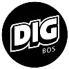 DigBoston